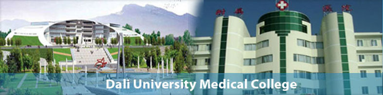 Dali University Medical College